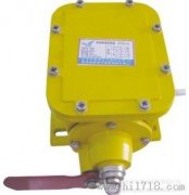 縱向撕裂開關(guān)YHZL-I、YHZL-IIBZL-220B防爆縱向撕裂保護裝置