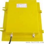 EXLDM-X溜槽堵塞保護(hù)裝置，220VLDM-E防爆溜槽堵塞檢測器