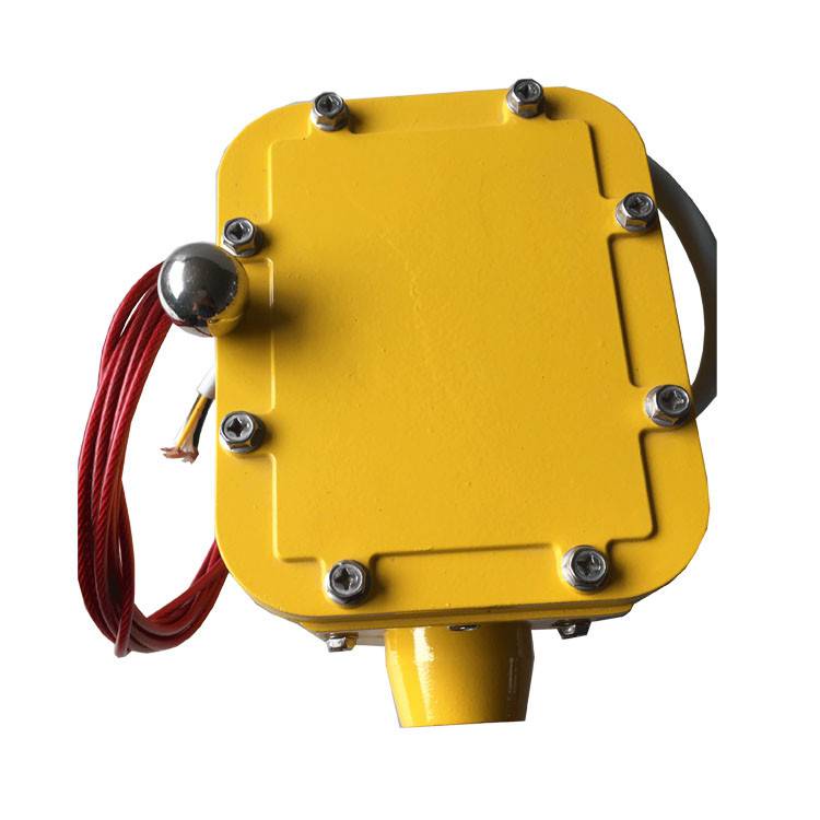 皮帶縱向撕裂檢測器SCPT-180-30、皮帶縱向撕裂檢測裝置ZL-B-II-100生產(chǎn)