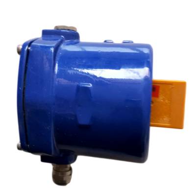 HQSD-III速度開關(guān)220VAC、HQSD-K-B皮帶測(cè)速打滑控制器安裝方式生產(chǎn)